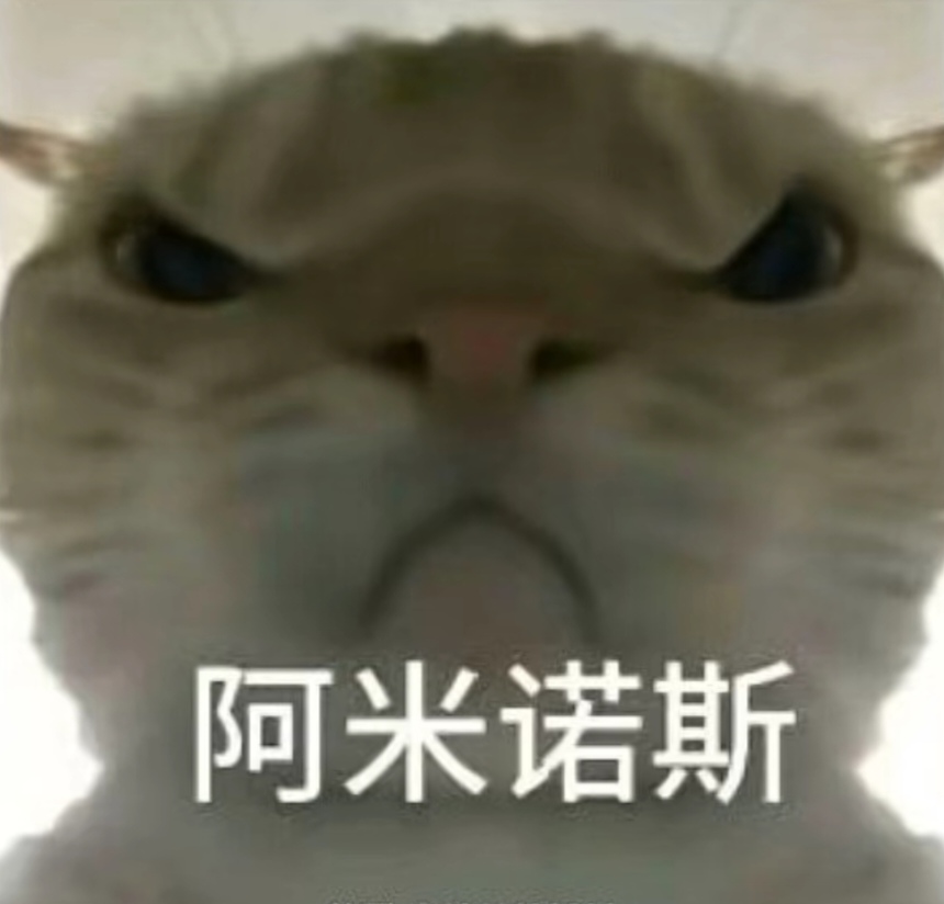持续下注高 持续下注高